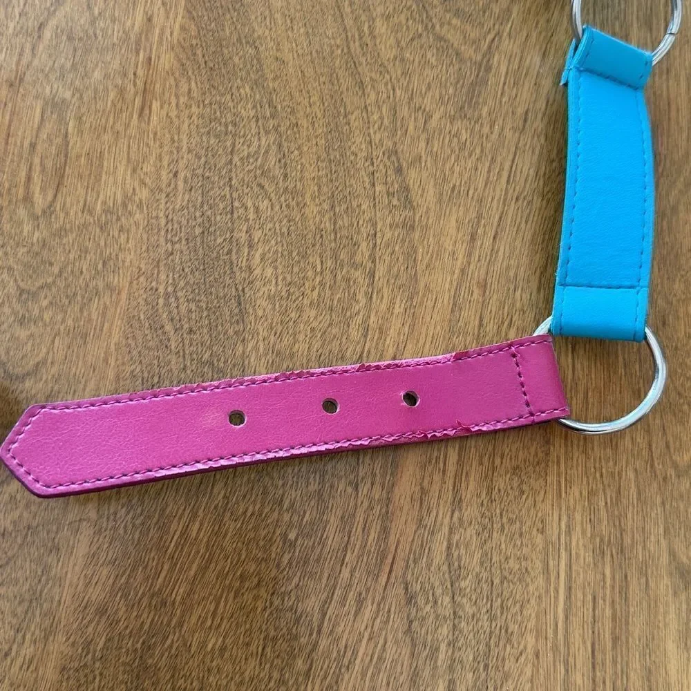 Vintage Express belt
